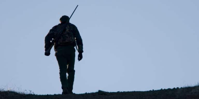 Comment gagner de l&rsquo;argent en jouant à « The Hunter : Call of the Wild « 