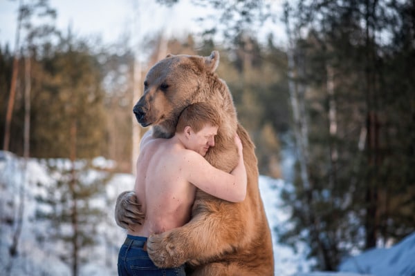 calin avec un ours