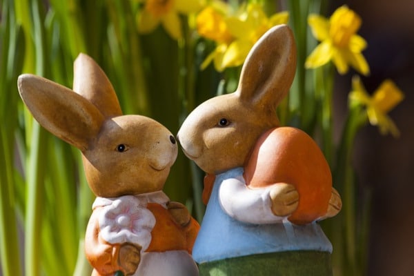 statut lapin