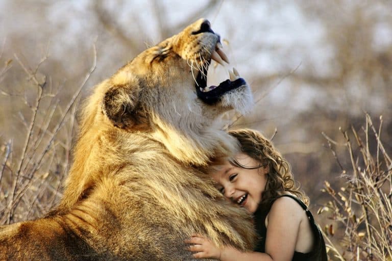un enfant et un lion