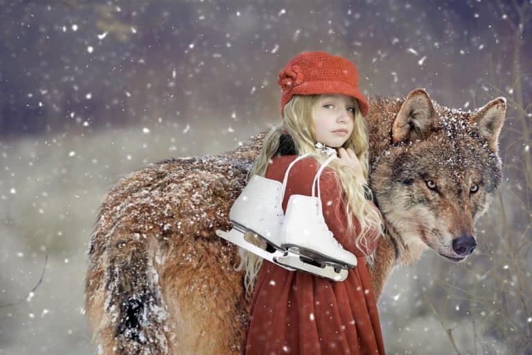 un enfant et un loup