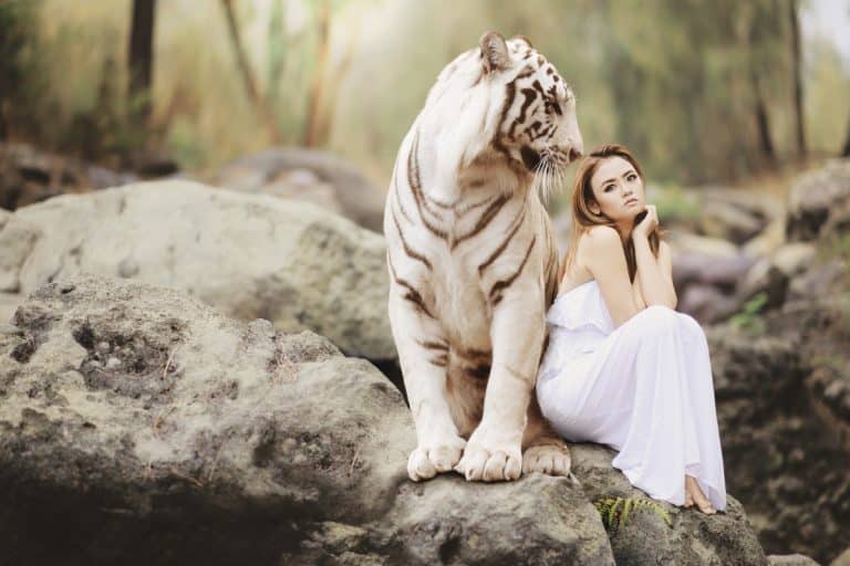 une fille et un tigre